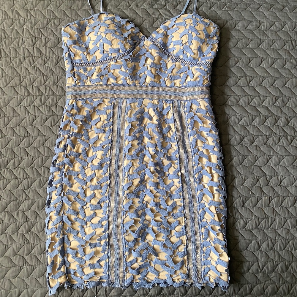 Periwinkle and nude bodycon dress